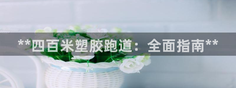 尊龙凯时平台正规吗：**四百米塑胶跑道：全面指南**