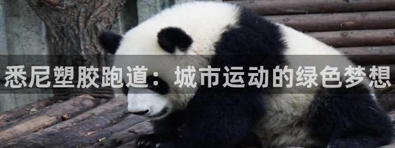 尊龙人生就是一博!