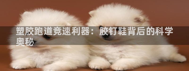 凯时官网下载客户端：塑胶跑道竞速利器：胶钉鞋背后的科学
奥秘