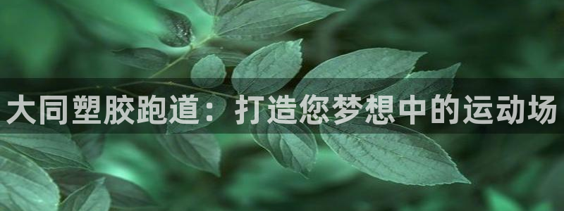 凯时ag旗舰厅：大同塑胶跑道：打造您梦想中的运动场