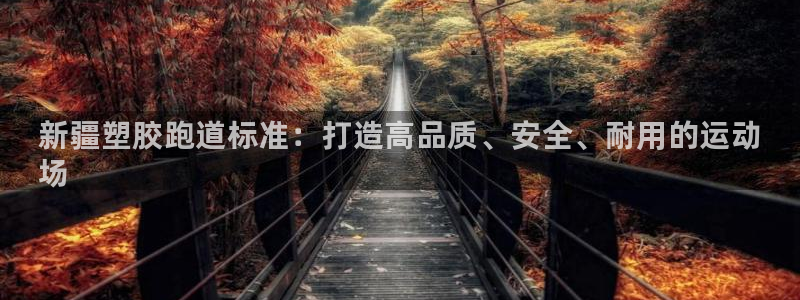 尊龙官网网站：新疆塑胶跑道标准：打造高品质、安全、耐用的运动