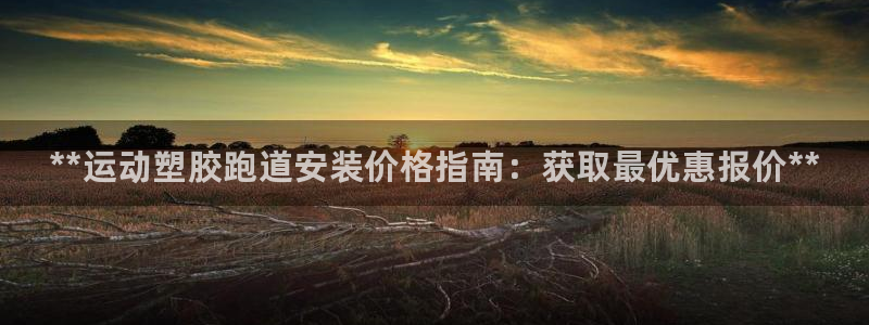 尊龙凯时平台官网：**运动塑胶跑道安装价格指南：获取最优惠报