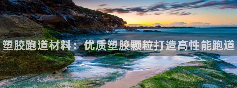 ag尊龙官方网站app：塑胶跑道材料：优质塑胶颗粒打造高性能