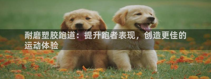 尊龙t600怎么样：耐磨塑胶跑道：提升跑者表现，创造