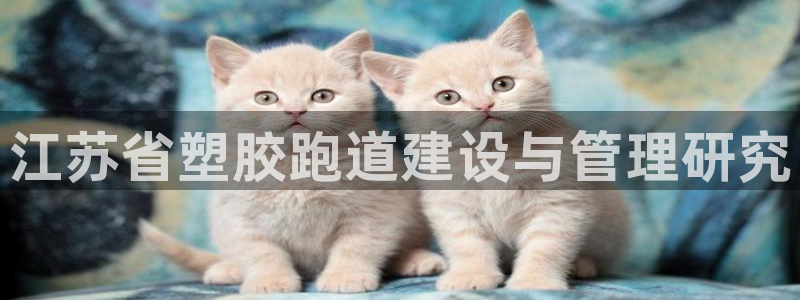 尊龙新版人生就是博!