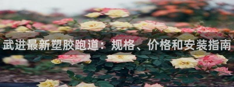 Z6尊龙官网入口：武进最新塑胶跑道：规格、价格和安装